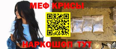 стафф Кингисепп