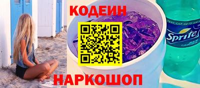 стафф Кингисепп