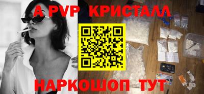 стафф Кингисепп