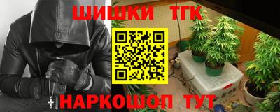 стафф Кингисепп