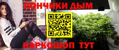 стафф Кингисепп