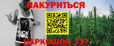 стафф Кингисепп