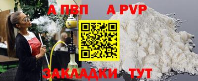стафф Кингисепп