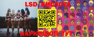 стафф Кингисепп